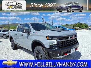 2025 Chevrolet Silverado 1500 for sale in Mountain View AR