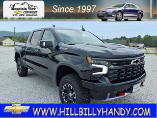 2025 Chevrolet Silverado 1500 for sale in Mountain View AR