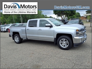 2018 Chevrolet Silverado 1500 for sale in Litchfield MN