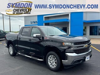 2019 Chevrolet Silverado 1500 for sale in Mount Horeb WI