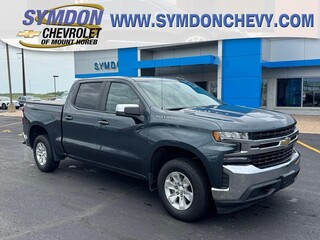 2020 Chevrolet Silverado 1500 for sale in Mount Horeb WI