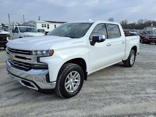 2019 Chevrolet Silverado 1500 for sale in Somerset KY