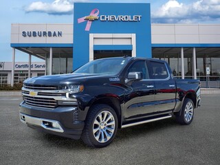 2021 Chevrolet Silverado 1500 for sale in Ann Arbor MI