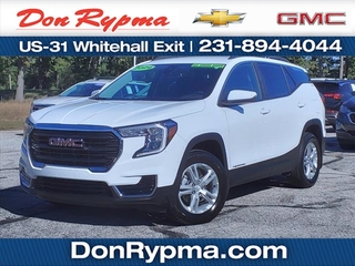 2024 Gmc Terrain for sale in Whitehall MI