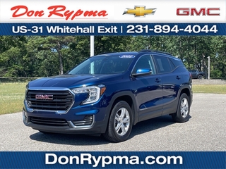 2022 Gmc Terrain for sale in Whitehall MI