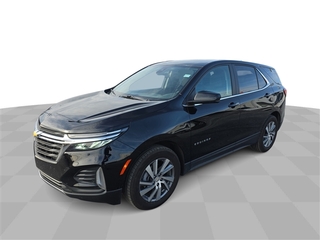 2024 Chevrolet Equinox for sale in Bradley IL