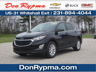 2019 Chevrolet Equinox for sale in Whitehall MI