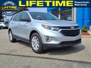 2020 Chevrolet Equinox for sale in Fowlerville MI
