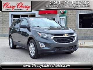 2020 Chevrolet Equinox for sale in North Muskegon MI