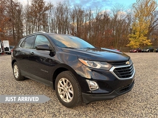 2020 Chevrolet Equinox for sale in Youngstown OH