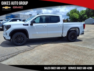 2025 Gmc Sierra 1500 for sale in Greenville MS