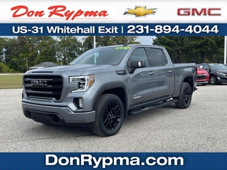 2021 Gmc Sierra 1500 for sale in Whitehall MI