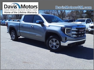 2024 Gmc Sierra 1500 for sale in Litchfield MN