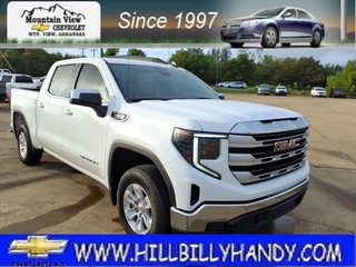 2024 Gmc Sierra 1500 for sale in Mountain View AR