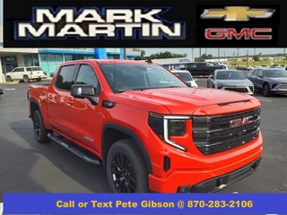 2024 Gmc Sierra 1500 for sale in Ash Flat AR