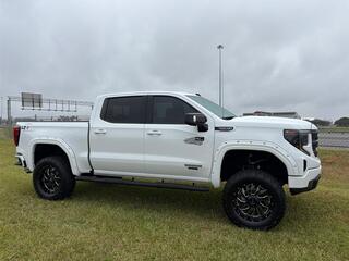 2022 Gmc Sierra 1500 for sale in Perry GA