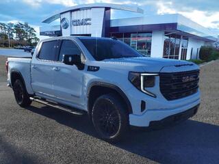 2025 Gmc Sierra 1500 for sale in Morehead City NC