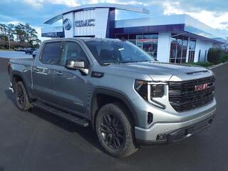 2025 Gmc Sierra 1500 for sale in Morehead City NC