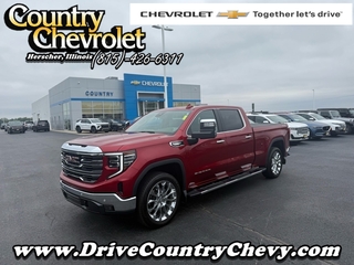 2024 Gmc Sierra 1500 for sale in Herscher IL