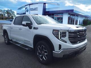 2025 Gmc Sierra 1500 for sale in Morehead City NC