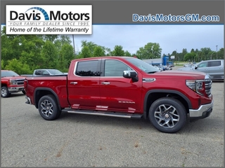 2025 Gmc Sierra 1500 for sale in Litchfield MN