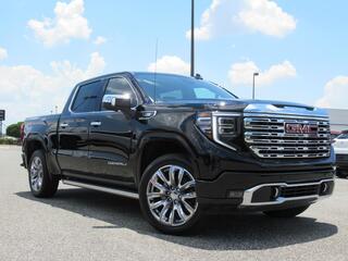 2025 Gmc Sierra 1500 for sale in Fruitland Park FL