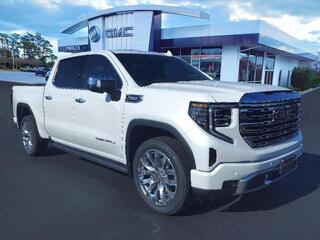 2025 Gmc Sierra 1500 for sale in Morehead City NC