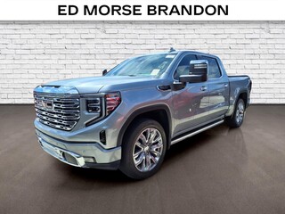 2024 Gmc Sierra 1500 for sale in Brandon FL