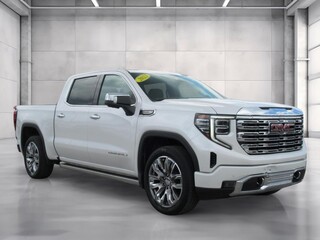 2023 Gmc Sierra 1500 for sale in Ocala FL
