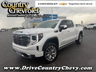 2025 Gmc Sierra 1500 for sale in Herscher IL