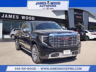 2025 Gmc Sierra 1500 for sale in Denton TX