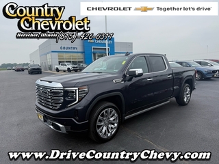 2025 Gmc Sierra 1500 for sale in Herscher IL