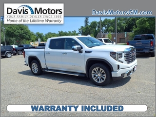 2022 Gmc Sierra 1500 for sale in Litchfield MN