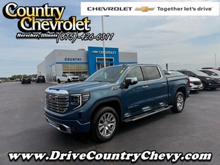 2024 Gmc Sierra 1500 for sale in Herscher IL