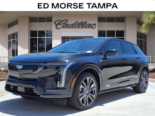 2025 Cadillac Optiq for sale in Tampa FL