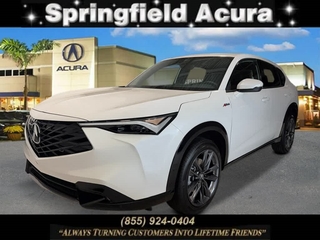 2025 Acura Adx for sale in Springfield NJ