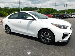 2019 Kia Forte for sale in Clarksville TN