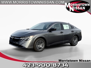 2026 Nissan Sentra for sale in Morristown TN