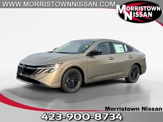 2026 Nissan Sentra for sale in Morristown TN