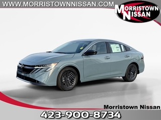 2026 Nissan Sentra for sale in Morristown TN