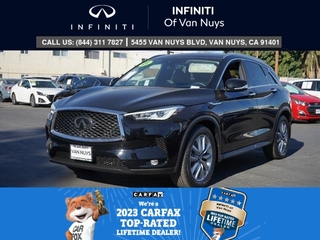 2021 Infiniti QX50 for sale in Brattleboro VT