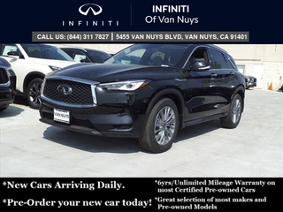 2025 Infiniti QX50 for sale in Brattleboro VT