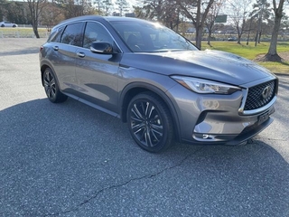 2021 Infiniti QX50 for sale in Cornelius NC