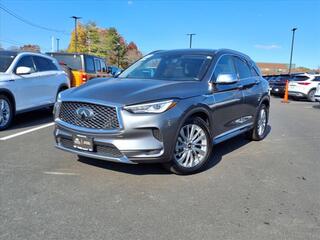 2023 Infiniti QX50 for sale in Danvers MA