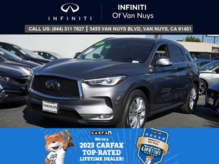 2021 Infiniti QX50 for sale in Brattleboro VT