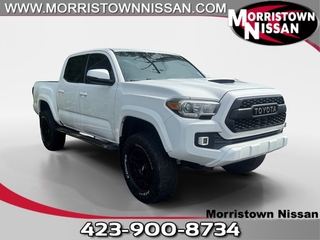2017 Toyota Tacoma for sale in Morristown TN