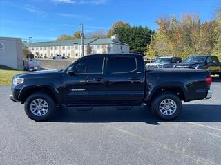 2019 Toyota Tacoma for sale in Morristown TN