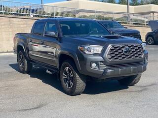 2017 Toyota Tacoma for sale in Chattanooga TN