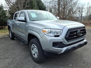 2022 Toyota Tacoma for sale in Clarksville TN