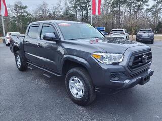 2023 Toyota Tacoma for sale in New Bern NC